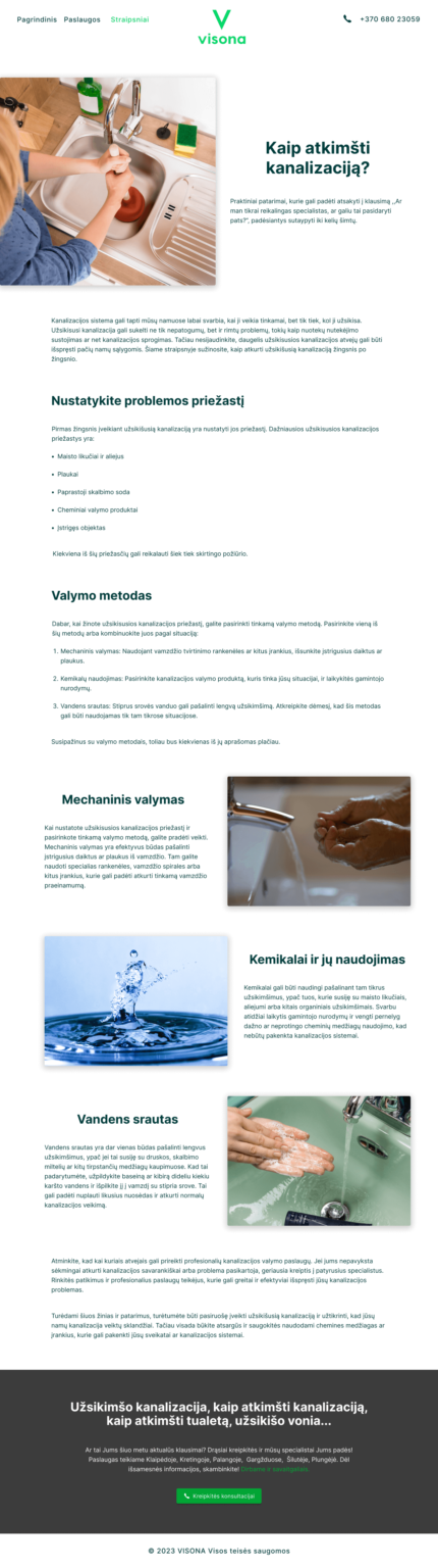Visona - blog single page
